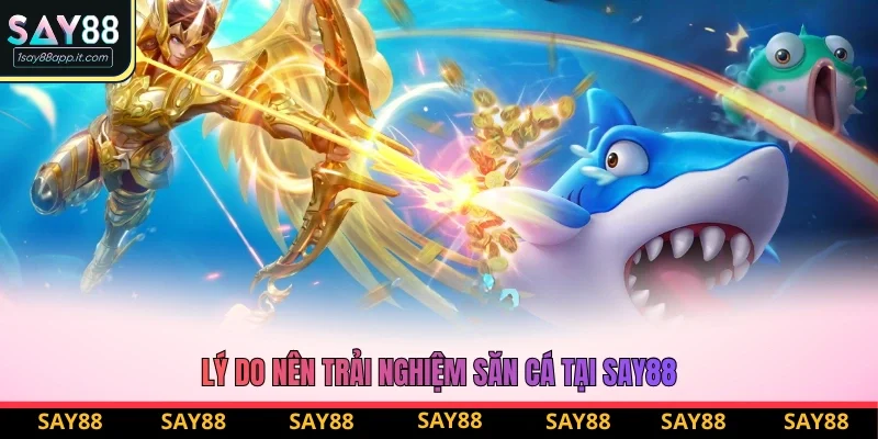 Lý do nên trải nghiệm săn cá tại Say88 Lý do nên trải nghiệm săn cá tại Say88
