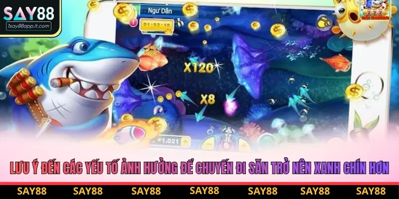 Lưu ý đến các yếu tố ảnh hưởng để chuyến đi săn trở nên xanh chín hơn Lưu ý đến các yếu tố ảnh hưởng để chuyến đi săn trở nên xanh chín hơn