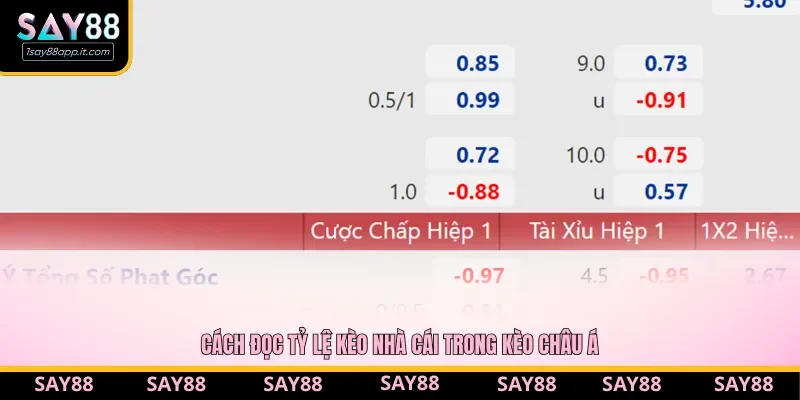 Kèo chấp Asian Handicap và các con số cụ thể Kèo chấp Asian Handicap và các con số cụ thể