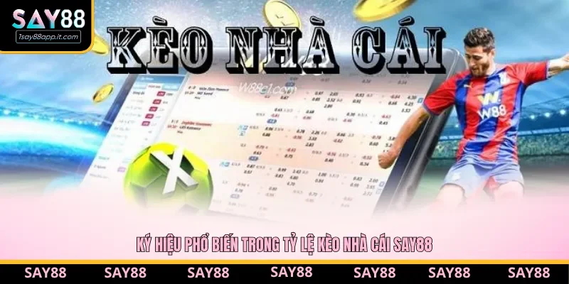 Ký hiệu phổ biến trong tỷ lệ kèo nhà cái say88 Ký hiệu phổ biến trong tỷ lệ kèo nhà cái say88