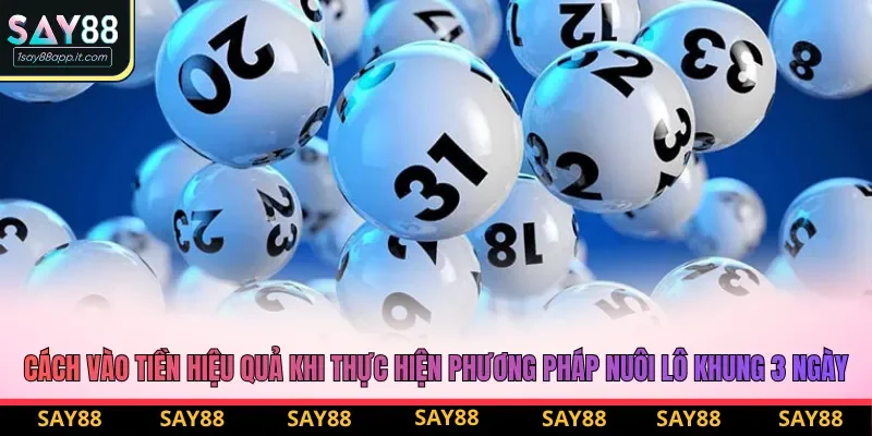 Cách vào tiền hiệu quả khi thực hiện phương pháp nuôi lô khung 3 ngày