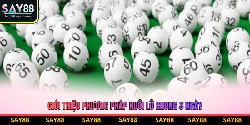 Giới thiệu phương pháp nuôi lô khung 3 ngày