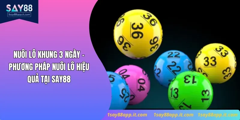 Nuôi Lô Khung 3 Ngày - Phương Pháp Nuôi Lô Hiệu Quả Tại Say88
