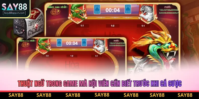 Thuật ngữ trong game mà hội viên cần biết trước khi cá cược