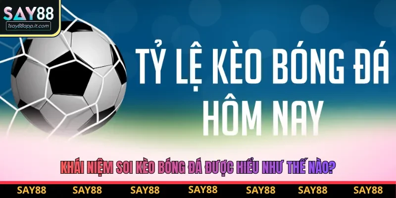 Khái niệm soi kèo bóng đá được hiểu như thế nào? Khái niệm soi kèo bóng đá được hiểu như thế nào?