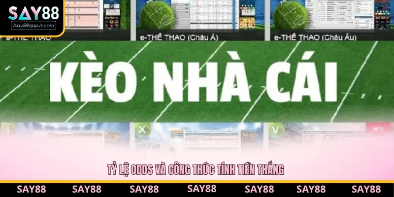 Hiểu công thức tính tiền thắng để tính toán lợi nhuận khi cược Hiểu công thức tính tiền thắng để tính toán lợi nhuận khi cược