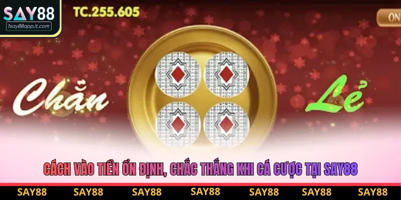 Cách vào tiền ổn định, chắc thắng khi cá cược tại say88 Cách vào tiền ổn định, chắc thắng khi cá cược tại say88