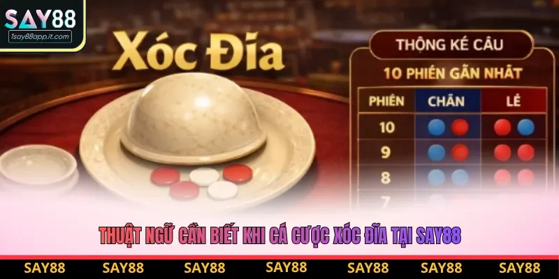 Thuật ngữ cần biết khi cá cược xóc đĩa tại say88 Thuật ngữ cần biết khi cá cược xóc đĩa tại say88